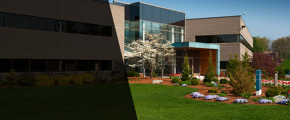 El Mirage Landscapers