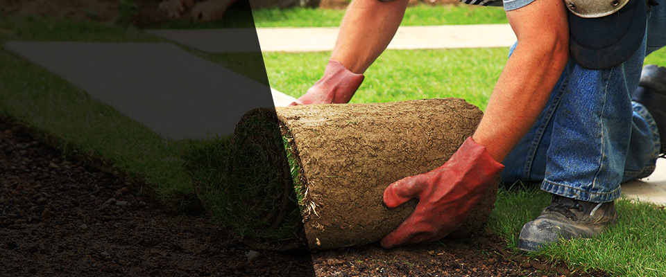 El Mirage Landscapers